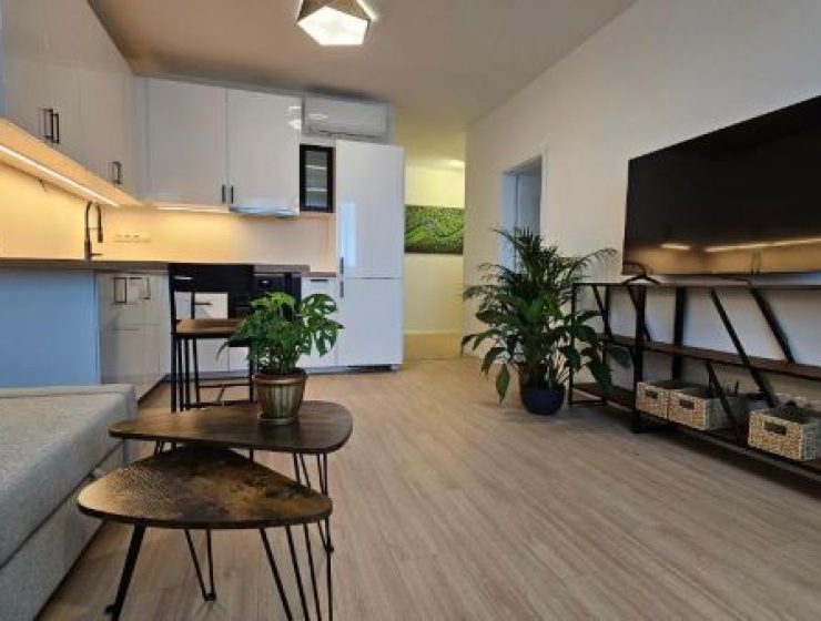 2 room Apartment With Terrace 413