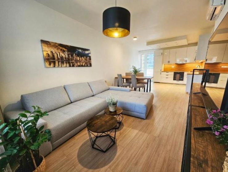 New 3 Room Apartment 21